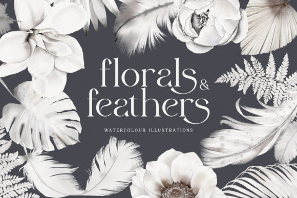 Elegant Editorial Vibes with White Cream Watercolor Flowers Feathers Illustrations