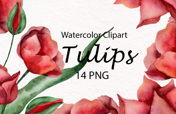 Evaluating Tulips Clipart, Watercolor for Branding and Design Projects