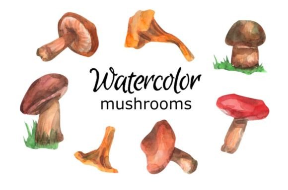 Mushrooms Watercolor Clip Art: A Brand Designer’s Practical Review for Local Business Branding