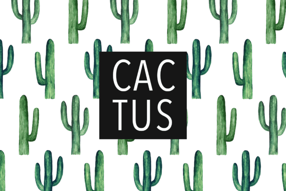 Watercolor Cactus Succulents: A Designer’s Real-World Embroidery Review