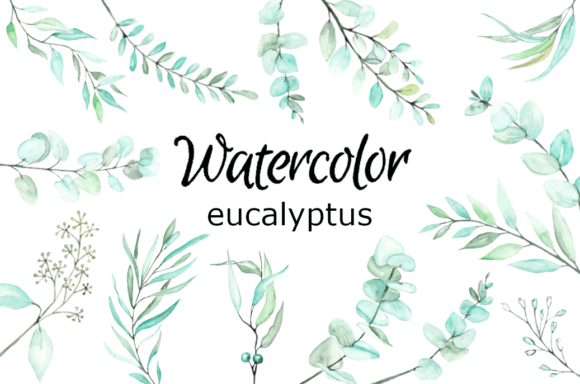 WATERCOLOR CLIPART Eucalyptus Leaves Art for Branding & Marketing
