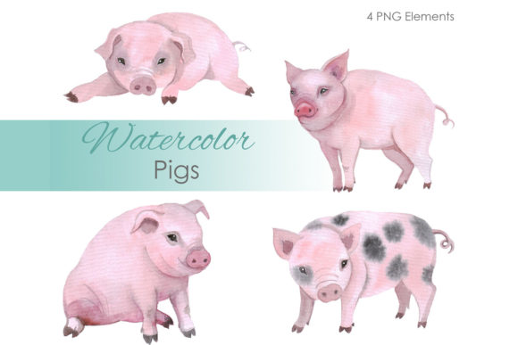 Watercolor Clipart: Farm Animal Pig Illustrations for Branding and Marketing