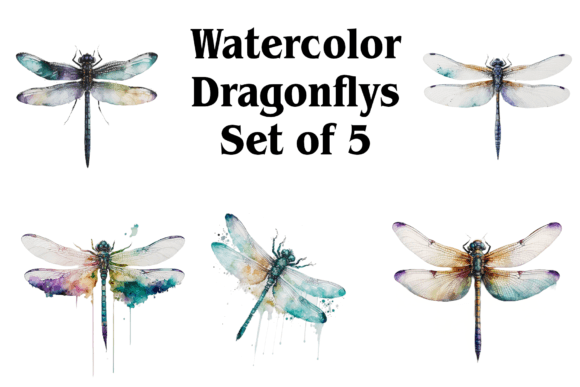 Watercolor Dragonflies Illustrations for Blog & Editorial Design