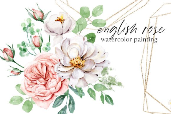 Watercolor Flower Set: English Rose Illustrations for Elegant Editorial Design