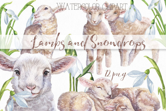 Watercolor Lamb and Snowdrops Clipart: A Designer’s Honest Review