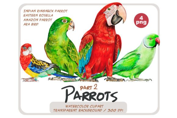 Watercolor Parrots Illustrations Bring Life to Branding and Design Projects
