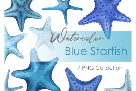 Watercolor Starfish Nautical Clipart: A Designer’s Real-World Review