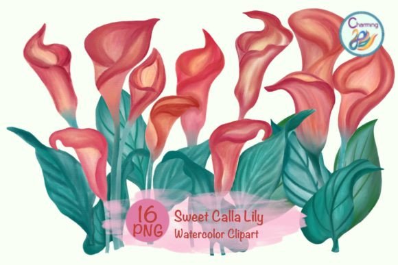 Watercolor Sweet Calla Lily: A Designer’s Review for Branding and Creative Projects