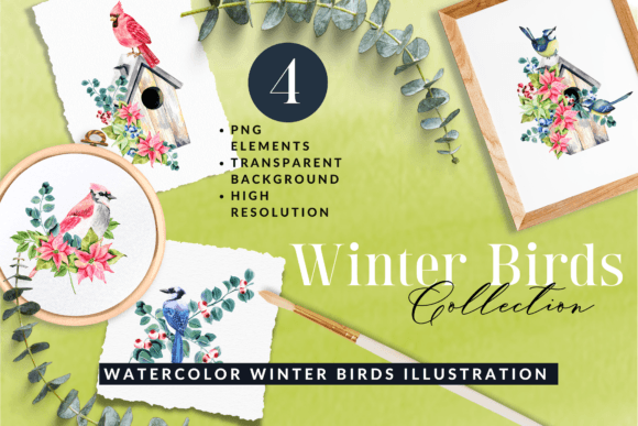 Watercolor Winter Birds Illustrations Set Elevates Seasonal Branding
